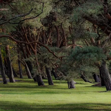 Апартаменти Tammsaare Luxury *