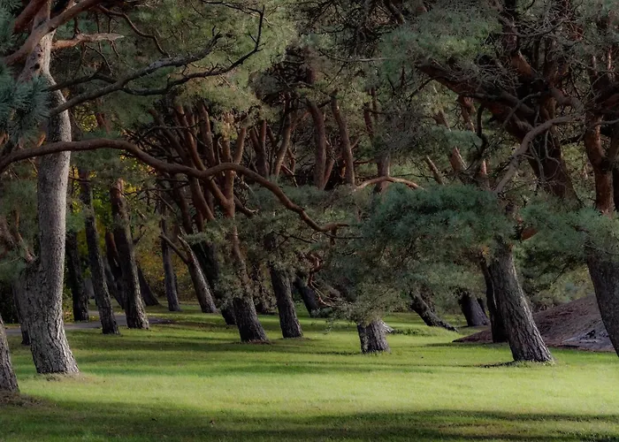 Apartman Tammsaare Luxury *